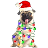 Pug First Christmas