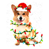 Corgi