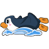 Penguin Water Slide