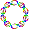 DNA rainbow dna