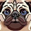 Cute Pug