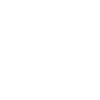 The electric car