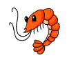 Shrimp Shrimp
