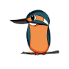 Kingfisher Blue Bird