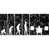 Bodybuilding Bodybuilder GYM Evolution Retro