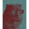 Chat remarquable