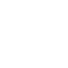 Reining Horse