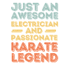Electrician Karate retro