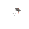 Wisdom Tooth Dentist Student Dentist