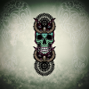 Skull with owl