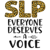 Speech Therapist Therapy Assistant