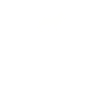 Weiße Schweizer Schäferhunde - Weiße Schweizer