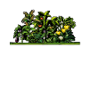 Hobby Gardener Garden Vegetables