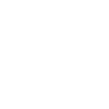 Leadership Director