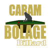 Billiard motif, carom Billiard player