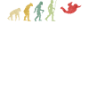 Evolución del paracaidista