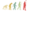 Painter Evolution