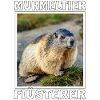 MURMELTIER FLÜSTERER
