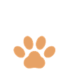 Katte og kaffe er alt, hvad jeg har brug for: Coffee Cat Quote