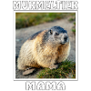 MURMELTIER MAMA