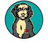 Bernedoodle Dogs