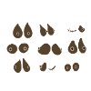 Breasts October pink differences, Female