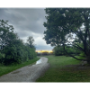 Waldblick