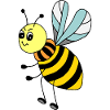 Insect