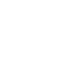 Les fourgonnettes électriques