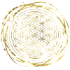 Flower of Life gold
