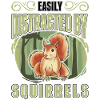 Easily distracted by Squirrels Eichhörnchen
