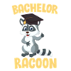 Célibataire Racoon
