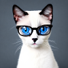 Cute cat Ella with glasses