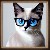 Cute cat Max with glasses