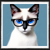 Cute cat Amber with glasses