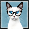 Cute cat Lily with glasses