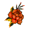 LOTUSE ROSE