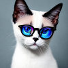 Cute cat Finley with glasses