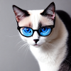 Cute cat Mia with glasses