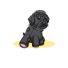 Schnoodle Dog Cuddly Toy
