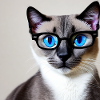 Cute cat Benjamin with glasses