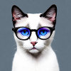 Cute cat Liam with glasses