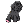 Schnoodle Dog Cuddly Toy
