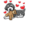 Schnoodle dog with cuddly toy