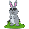 Rabbit Sunglasses