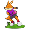Fox Tennis Rackets