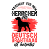 Deutsch Drahthaar Herrchen Jagdhund