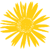 Dottergelb