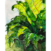 Shades of green
