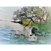 Nature, Water, Trees
